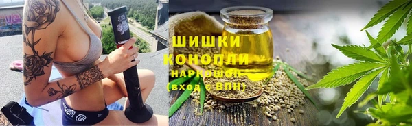 гашик Балахна