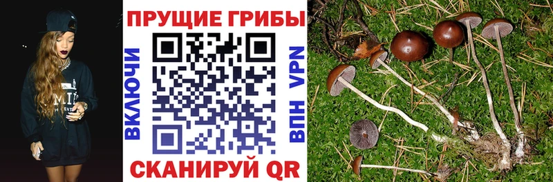 Галлюциногенные грибы мухоморы  цена   Кстово 
